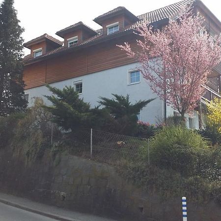 Mayerhofer House Линц Екстериор снимка