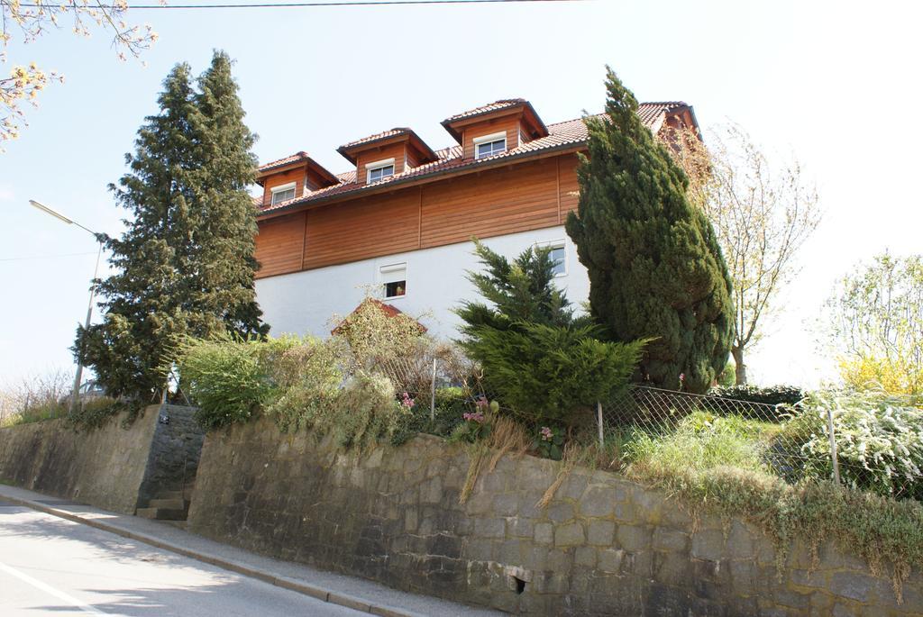 Mayerhofer House Линц Стая снимка