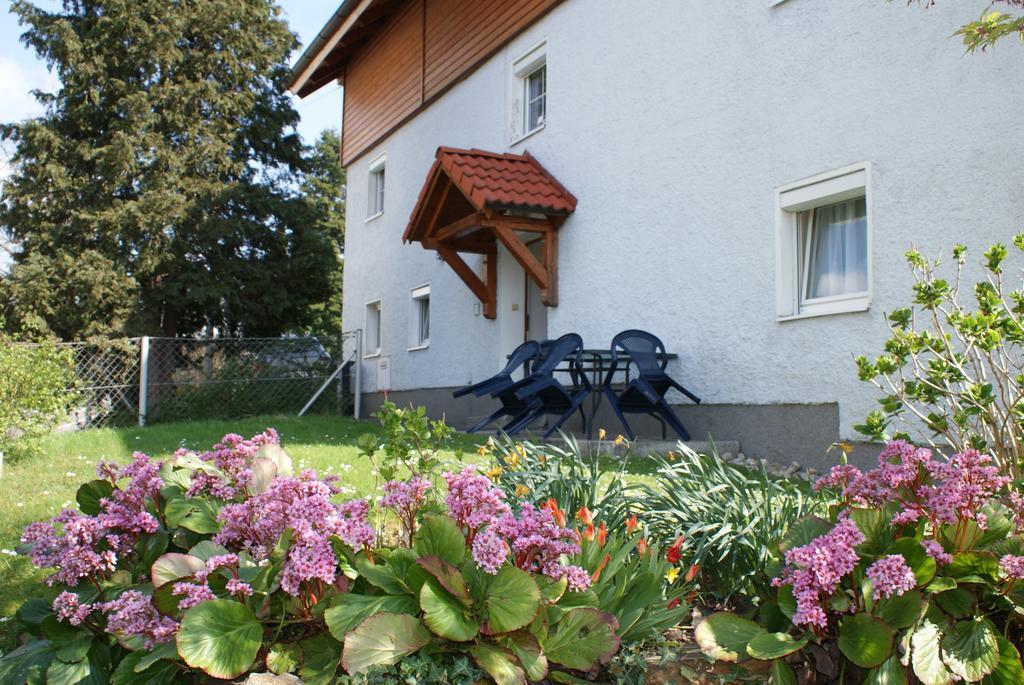 Mayerhofer House Линц Стая снимка