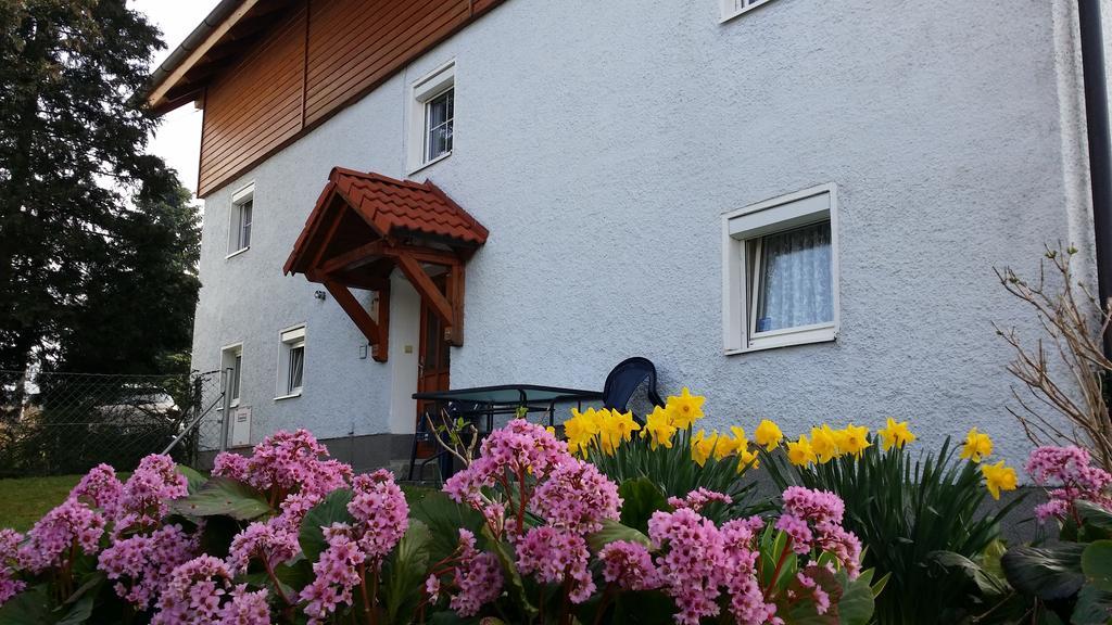 Mayerhofer House Линц Екстериор снимка