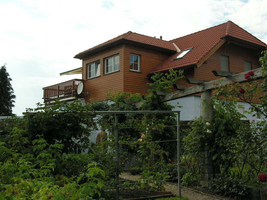 Mayerhofer House Линц Екстериор снимка